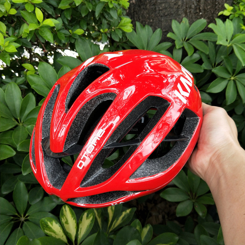 Team Sky Edition Helmet Integrated Road Bike